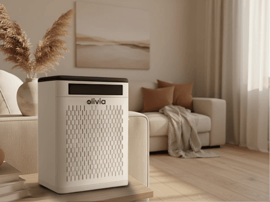 Purifier in a modern living room